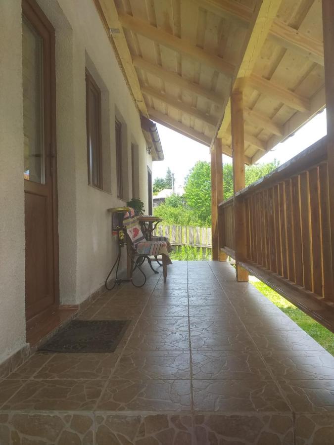 Pensiunea Floare De Colt Beliş Exterior foto